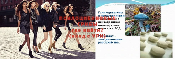 спиды Алексеевка
